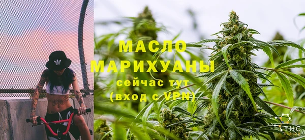 прущие грибы Абаза