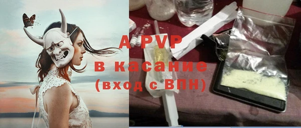 СК Михайлов
