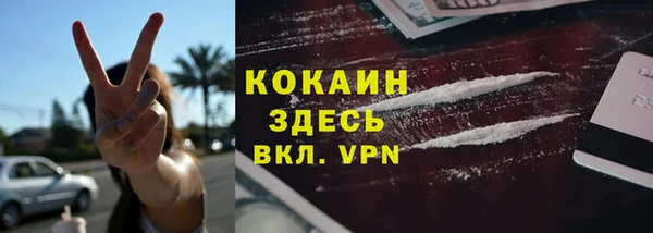 спайс Алексин