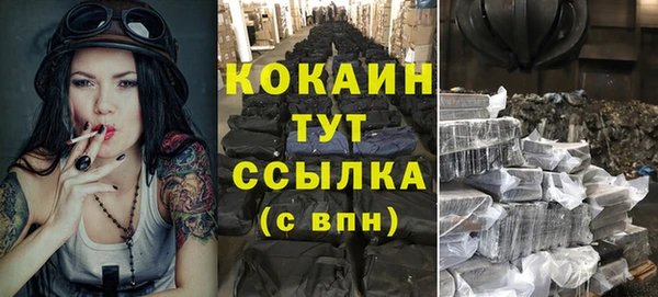 прущие грибы Абаза