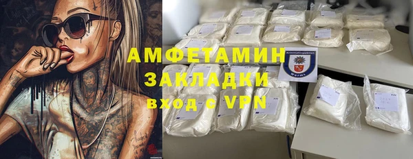 прущие грибы Абаза