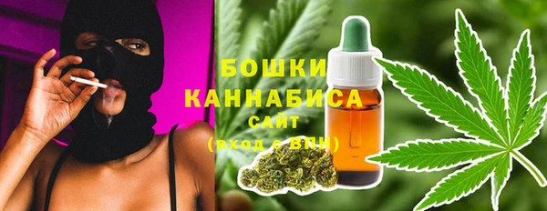 прущие грибы Абаза