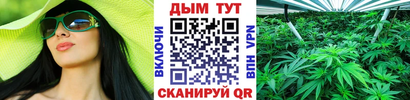 наркотики  Троицк  Бошки марихуана VHQ 